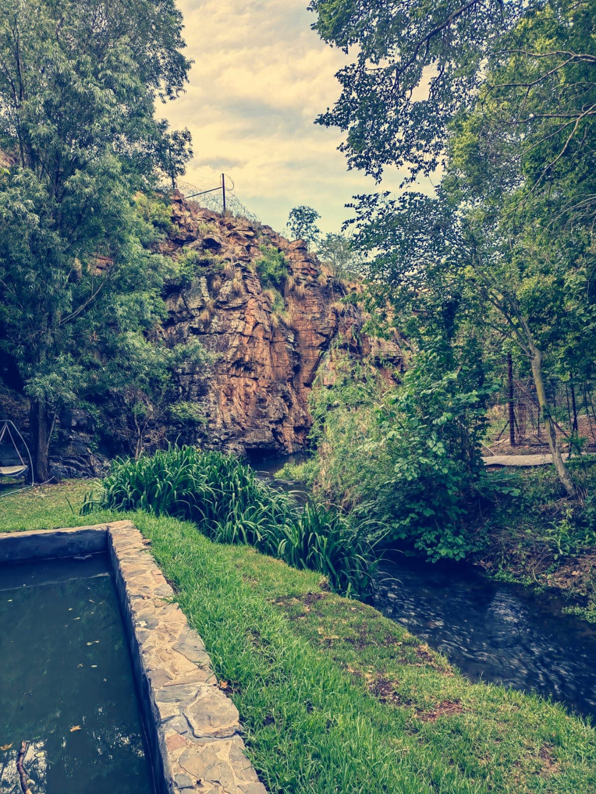Forest Lodge – The Retreat gallery photo 3