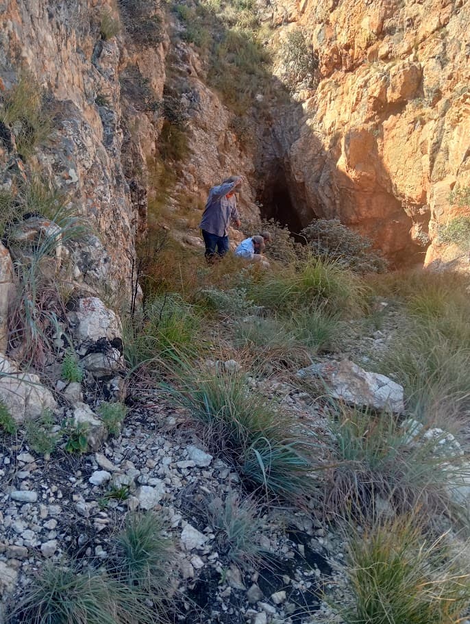Rob Milne Tours gallery photo 8