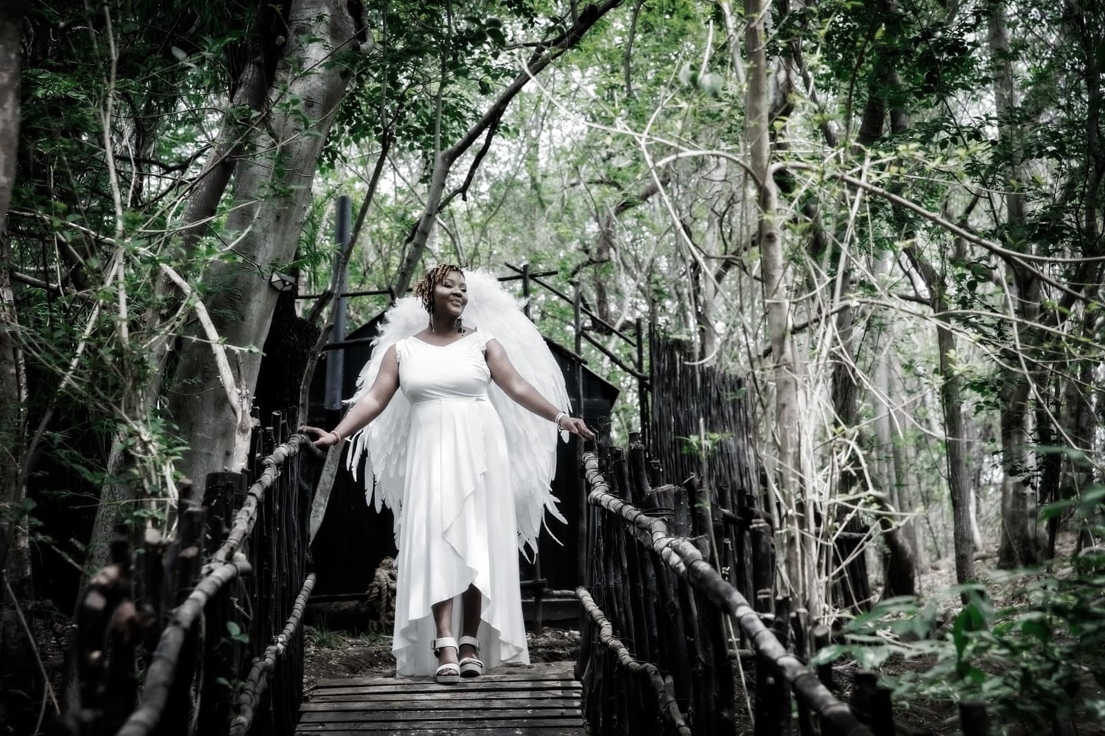 Forest Lodge – The Retreat gallery photo 6