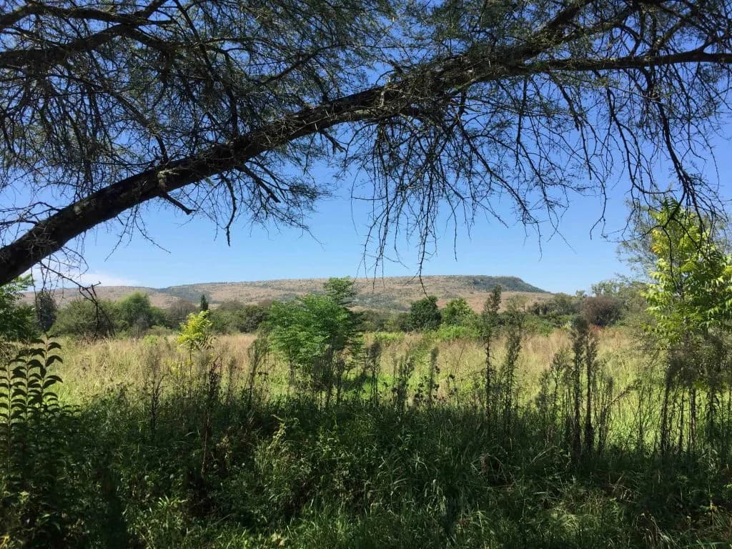 Manyore Farmstead image 2
