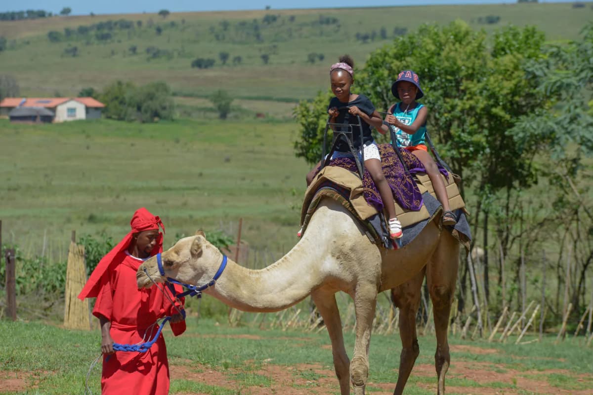 Takara Oasis Luxury Spa and Camel Sanctuary image 2