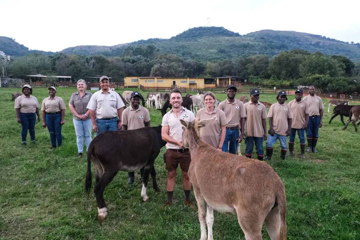 The Donkey Dairy image 1