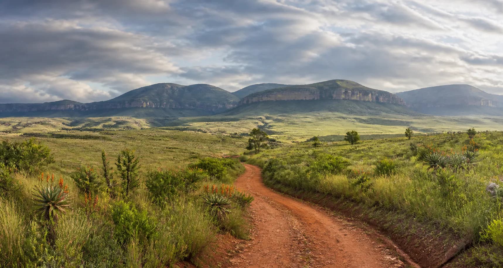 A view across the Magaliesberg landscape