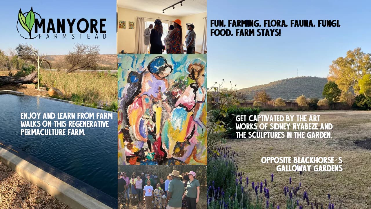Manyore Farmstead: Art & Permaculture