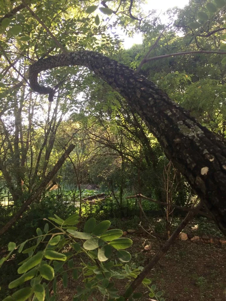 Manyore Farmstead